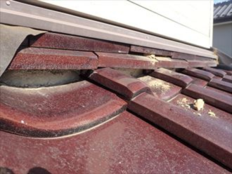 ずれているのし瓦